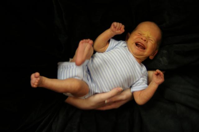 Noooo more pictures! (Don't worry, there ARE more pictures, so don't stop now!)
