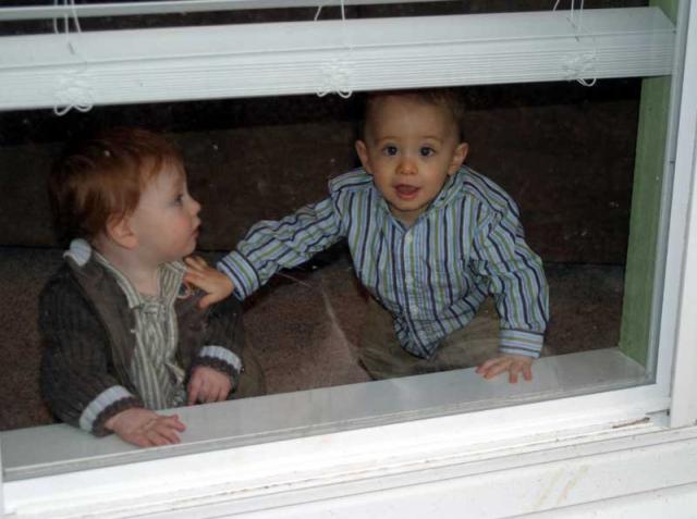 How much is that baby in the window?