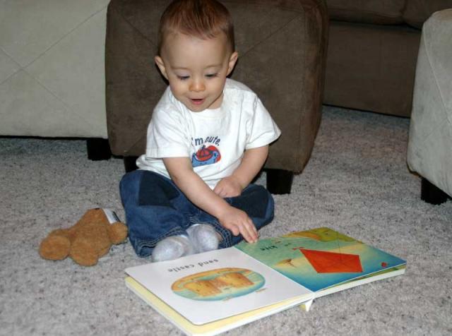 Wow, another new book and a bear, too!