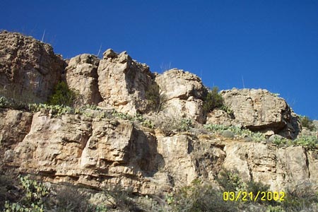 spring_break_2002_8 039