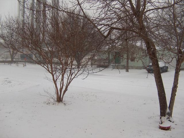 Birthday Snow!