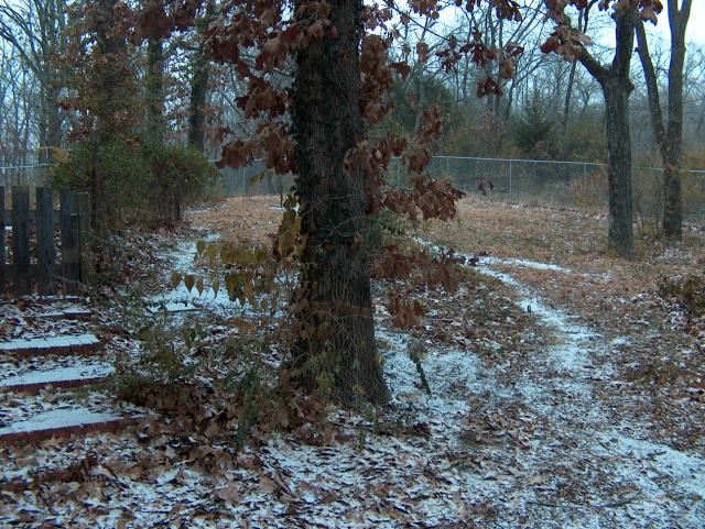 Starting to stick a little in the backyard