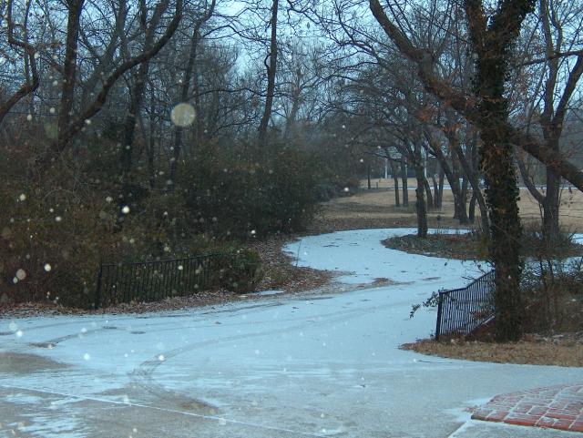 And covering the driveway, too!