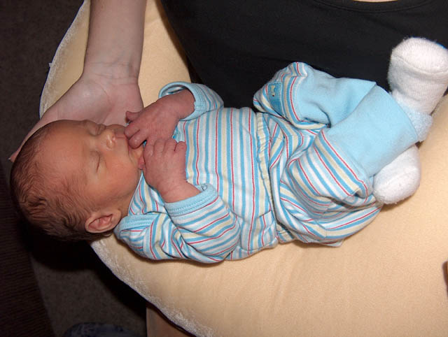 Little boy blue!