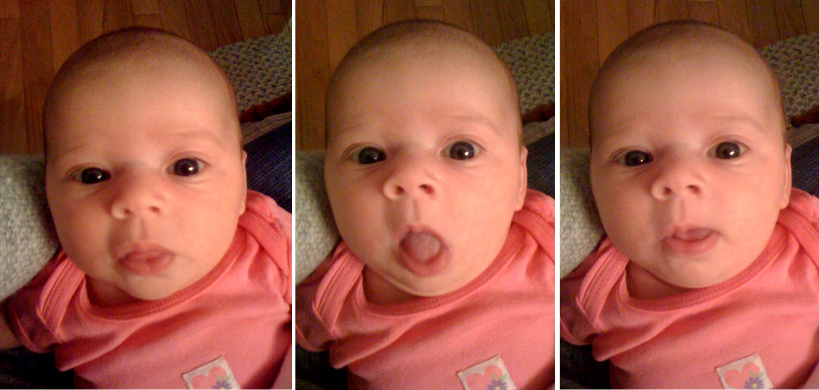 Faces-of-Bella