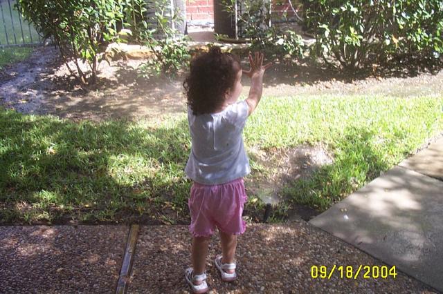 Sprinklers!