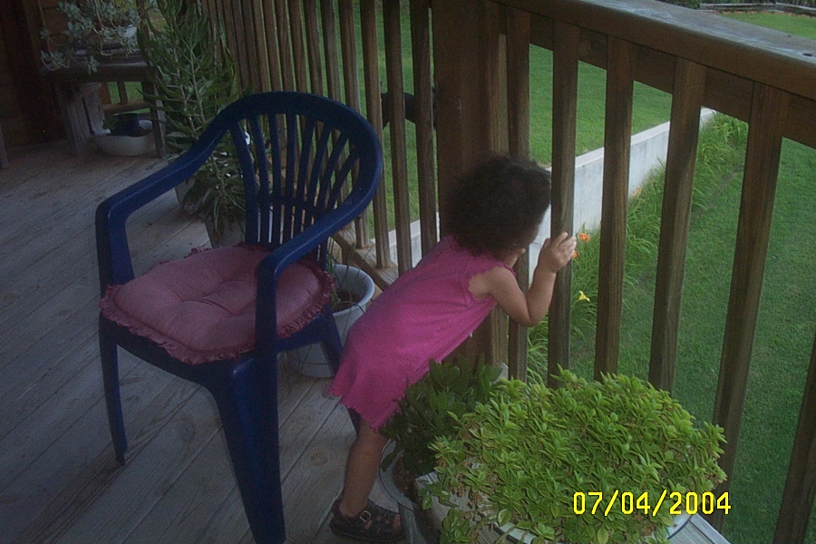 Looking for the Puppies