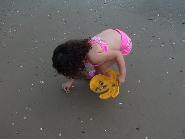 Collecting shells (or pretty much anything she could pick up)