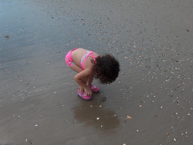 Inspecting the shells close up