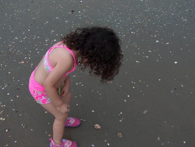 So many shells, so little time!