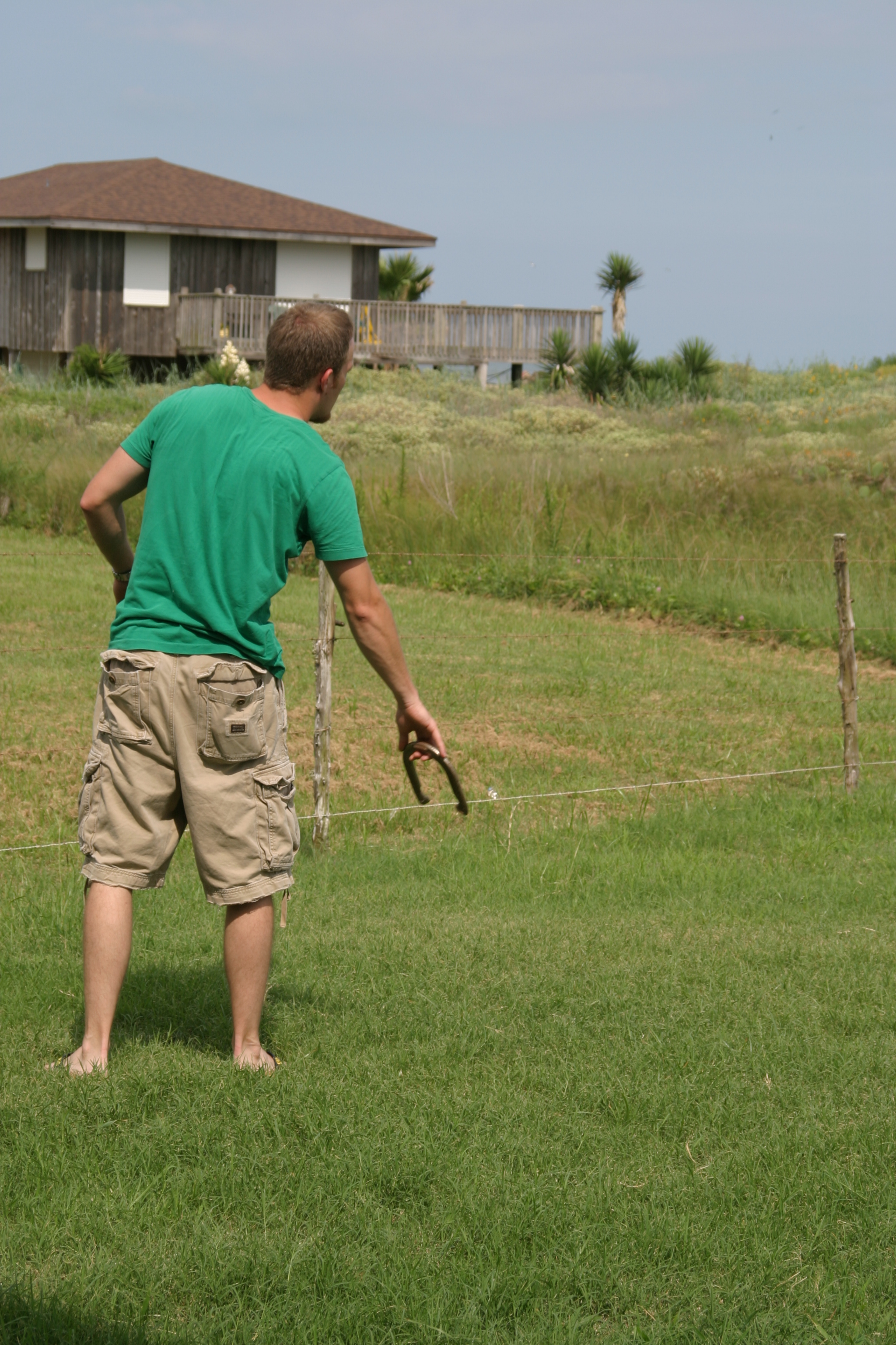 Horseshoes