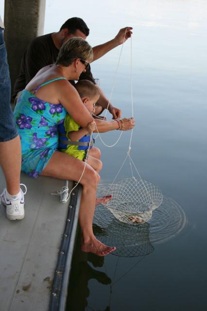 Checking the nets