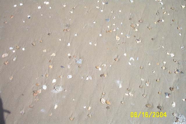 What the Beach Really Looks Like (Not Like the Postcards)