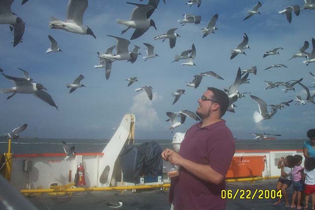 Feeding the Seagulls