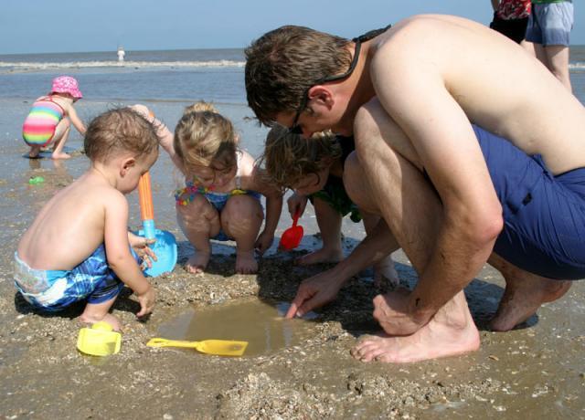 Hermit crab pool