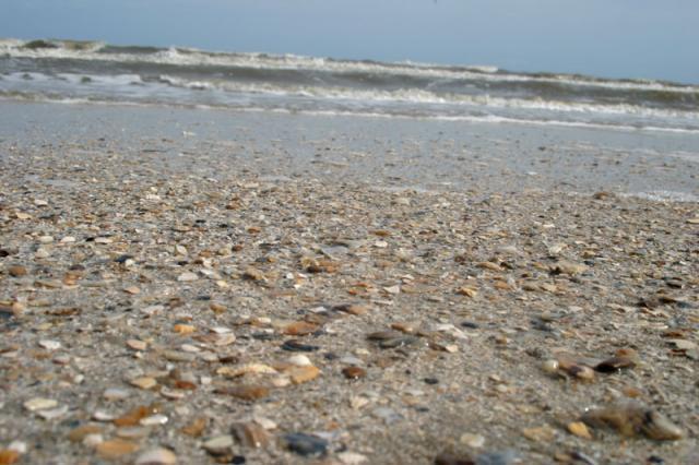 Beach art