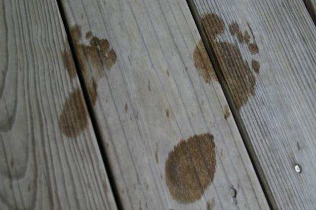 Feetprints