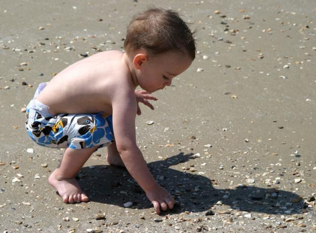 Seashell searching