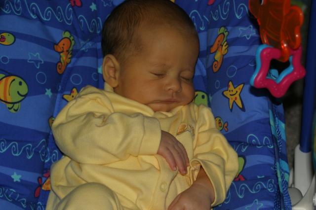 Best of February 2006!