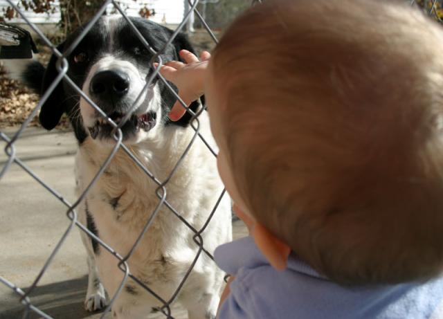 See the fear in his eyes? ~ February 6, 2007