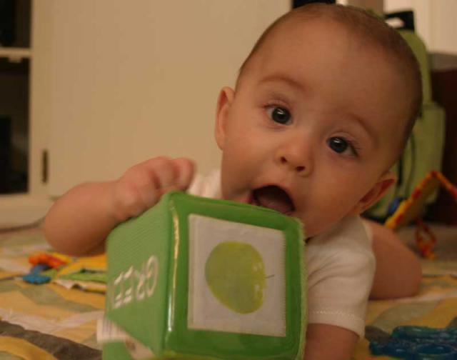 Must taste the green block! ~ June 9, 2006