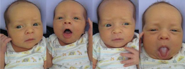 The many faces of Oliver ~ March 25, 2009