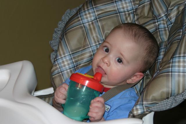So, what's this thing supposed to do? ~ May 18, 2006
