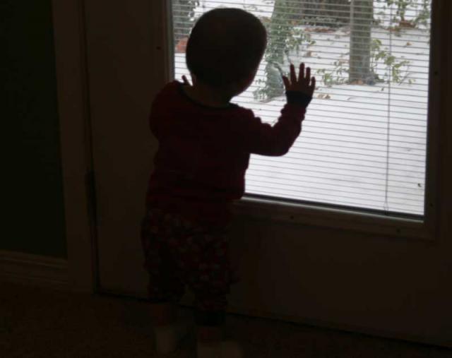 What's all this white stuff? ~ November 30, 2006