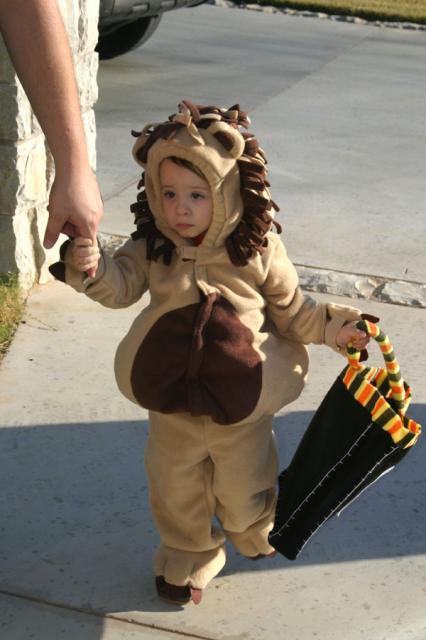 Roar! ~ October 30, 2007
