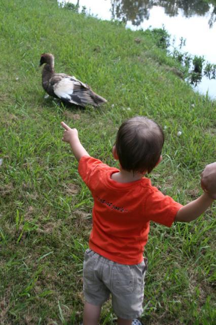 Goose! ~ September 1, 2007