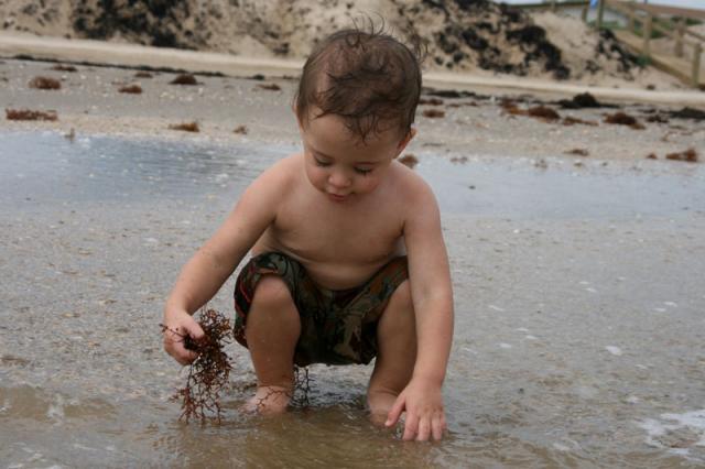 Seaweed! ~ September 8, 2007