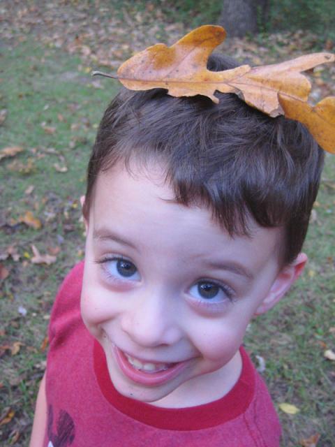 October 20, 2009