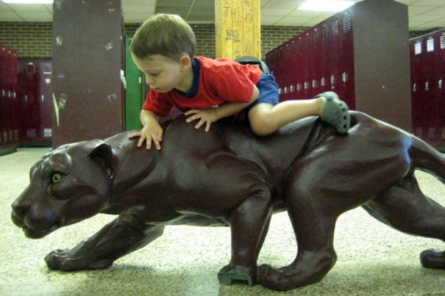 Riding the Cougar ~ July 9, 2008