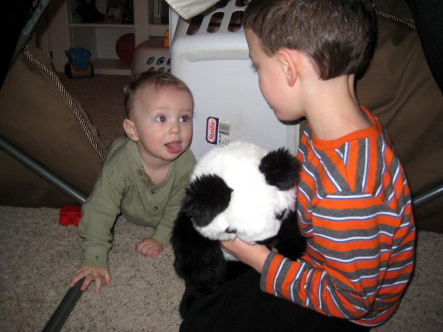 Playtime in the fort ~ February 3, 2010