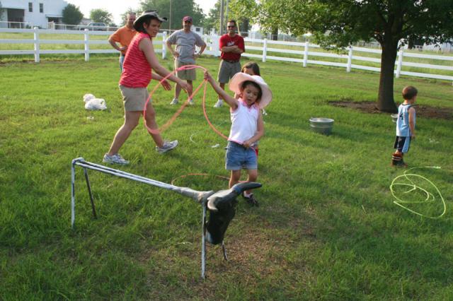 Look out, cow!