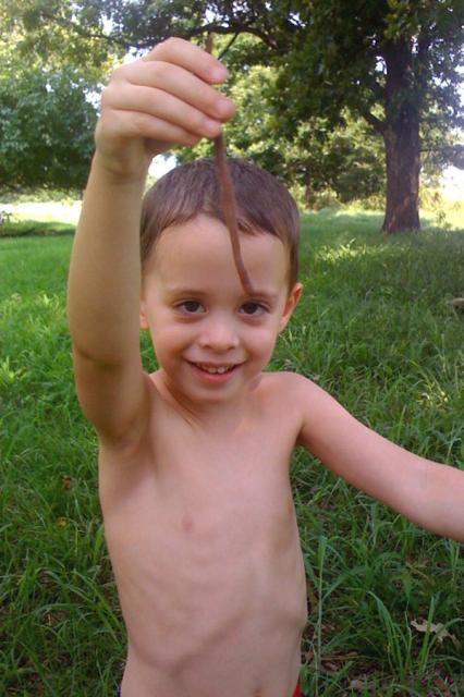 Got worms?