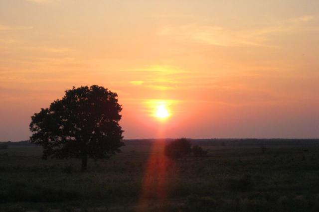 Sunset at the ranch