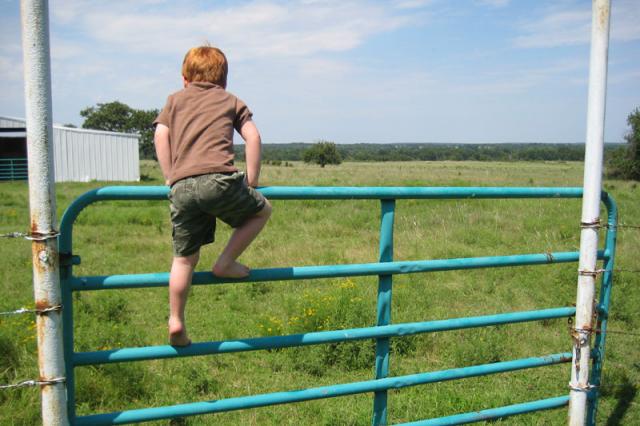 Toren trying to escape the ranch