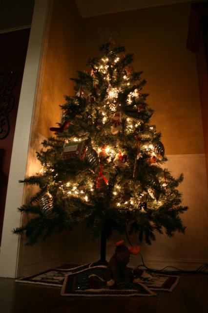 Christmas with Jake, Abby & Tyler ~ 12.25.07