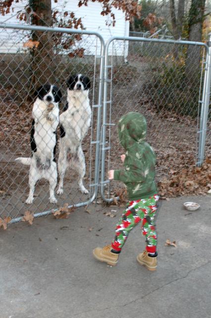 Telling the puppies we're going to Coco's