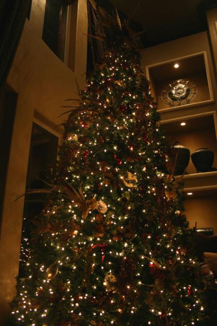 Kassie & Somerlyn's huge tree -- the picture really doesn't do it justice!