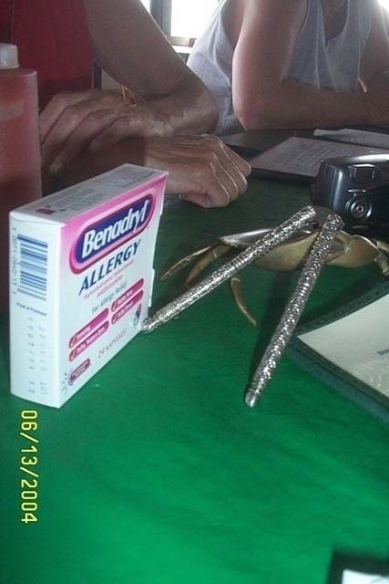 Benadryl...Just in Case!