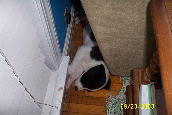 A Good Napping Spot