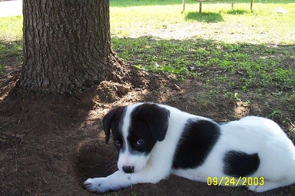 Don't Get Mad...I'm Cute!