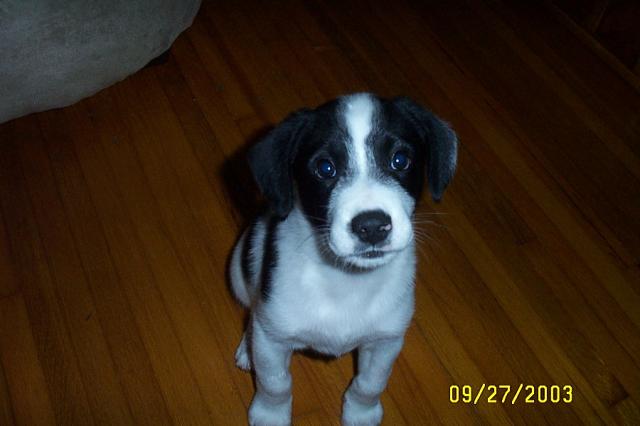 I'm So Cute!