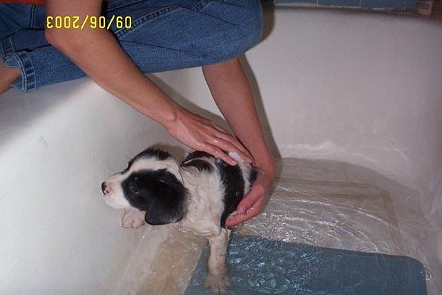 Eddie Doesn't Like Baths!