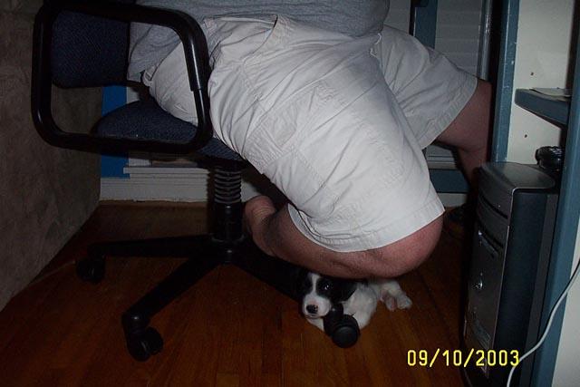 Hanging Out Under Jake's Chair