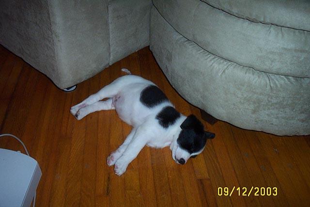 Sleeping Again