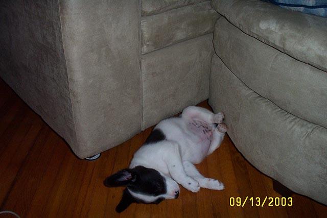 Still Sleeping
