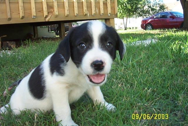 Isn't he CUTE?